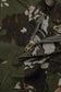 47d2238d-e6d6-43f1-890a-0a6a016bbbf0-Max-Origin